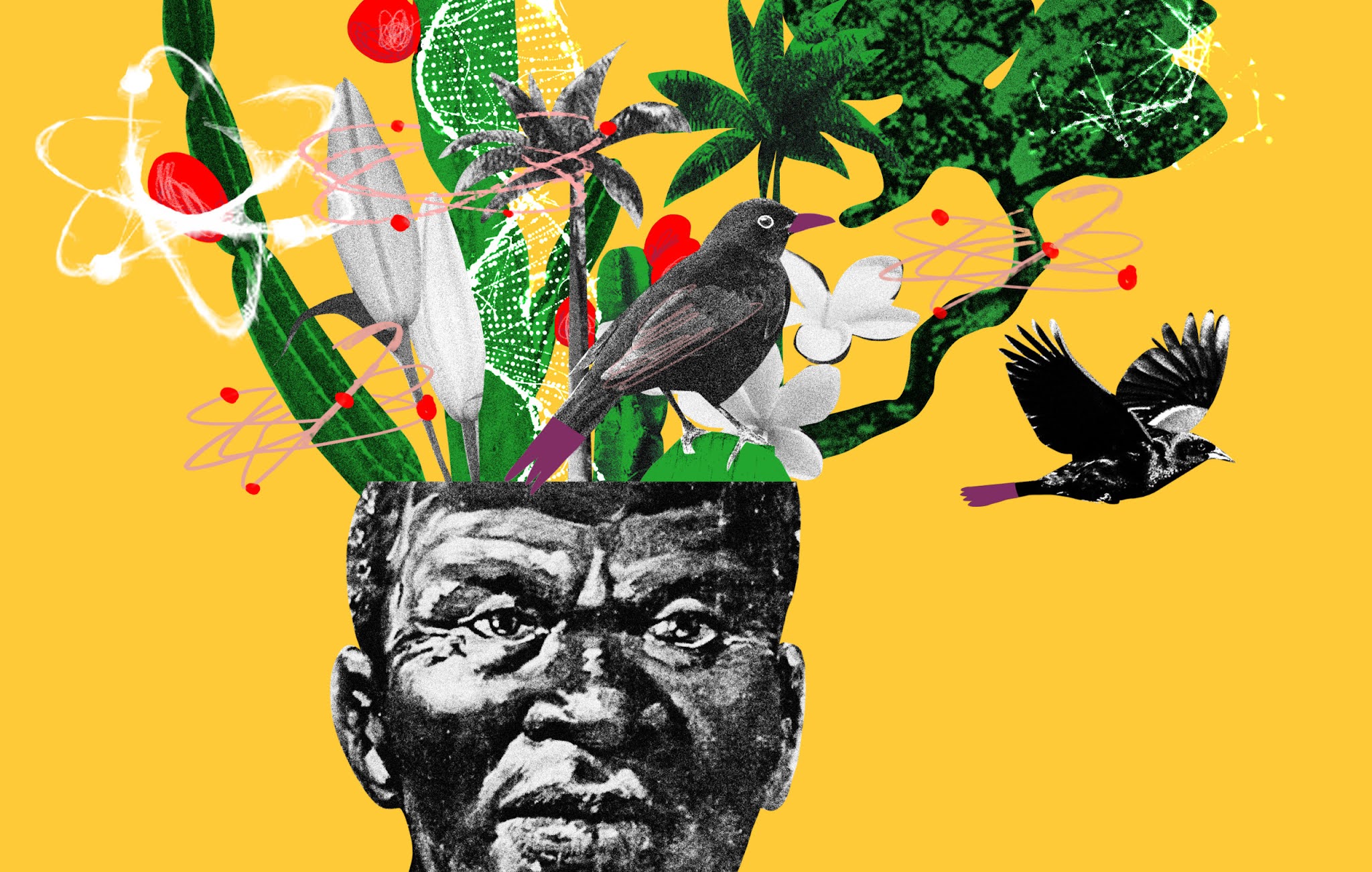 A ciência tem um problema de racismo?