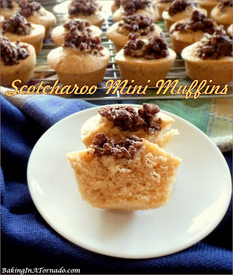 Scotcharoo Mini Muffins, pop-in-your- mouth muffins are an interpretation of a nostalgic treat marrying peanut butter, butterscotch, chocolate, and the crunch of crispy cereal. | Recipe developed by www.BakingInATornado.com | #recipe #dinner