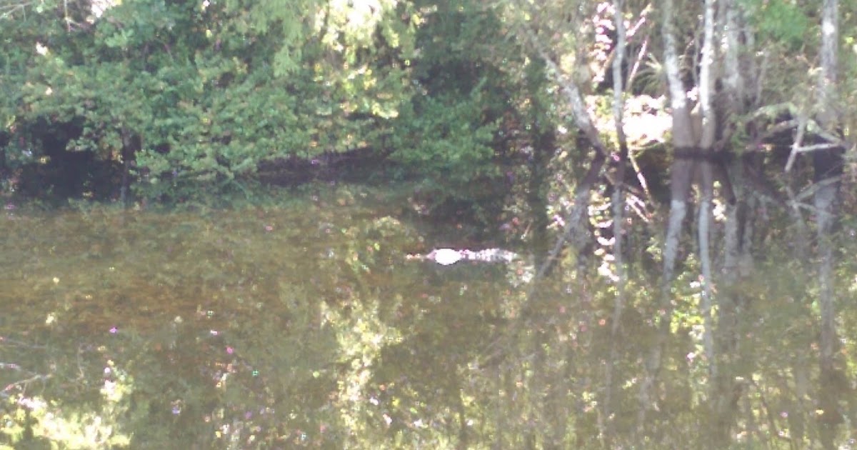 to Miami Everglades/Key Largo