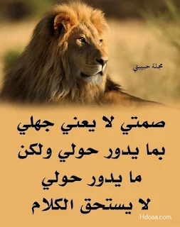 صور حلوه