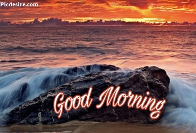 These Best 99+ Good Morning Images will make your day These Best 99+ Good Morning Images will make your day