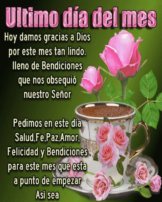 FELIZ DÍA A LA VIDA Último día del mes, hoy damos gracias