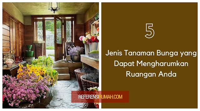 Inilah 5 Jenis Tanaman Bunga yang Dapat Memperharum Ruangan Anda Inilah 5 Jenis Tanaman Bunga yang Dapat Memperharum Ruangan Anda