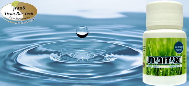 צום איזונית טבעון