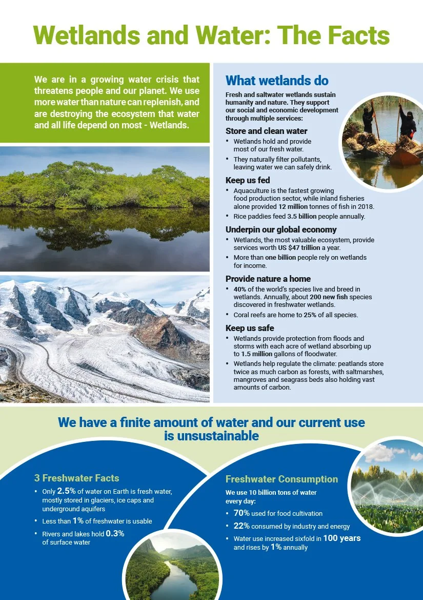 wetlands water facts infographic