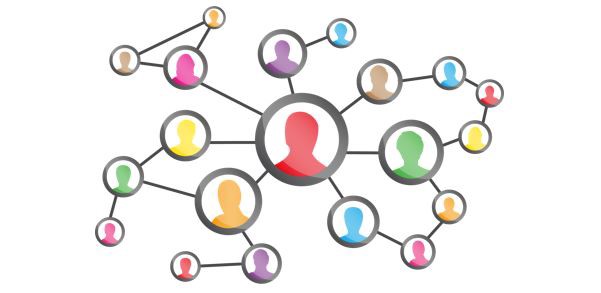 The Consultant: 2019