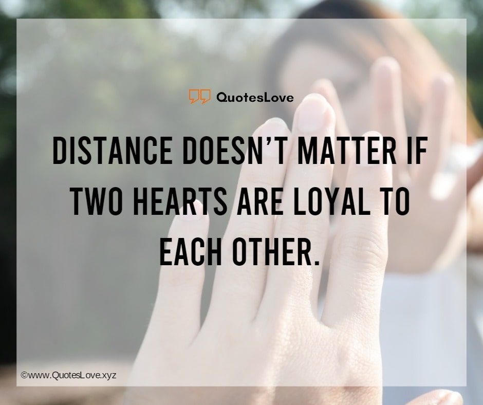 Loyalty Quotes - Quotes On Loyalty - Quotes About Loyalty