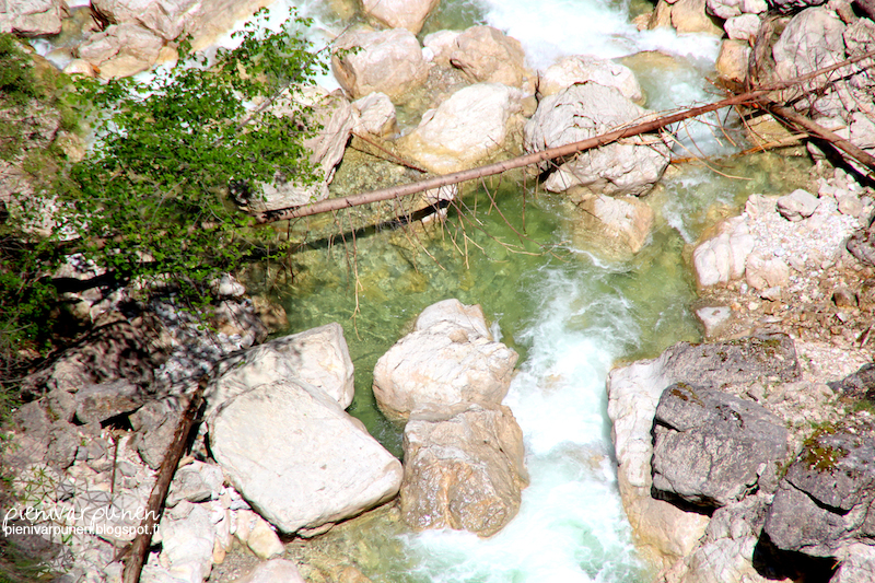 interrail-saksa-füssen-neuschwanstein-linna