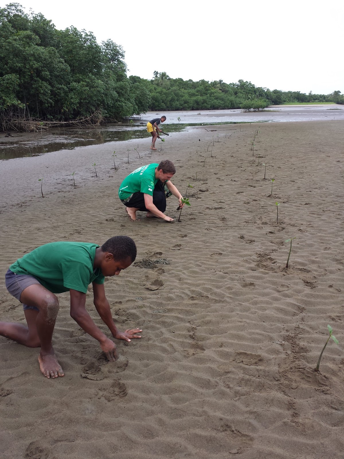 Mangroves for Fiji Mangrove Monday!!!