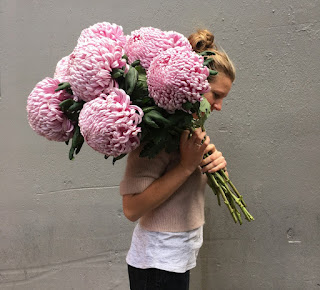 A blonde haired woman in a white shirt carrying a bunch of huge pink chrysanthemums over her shoulder.