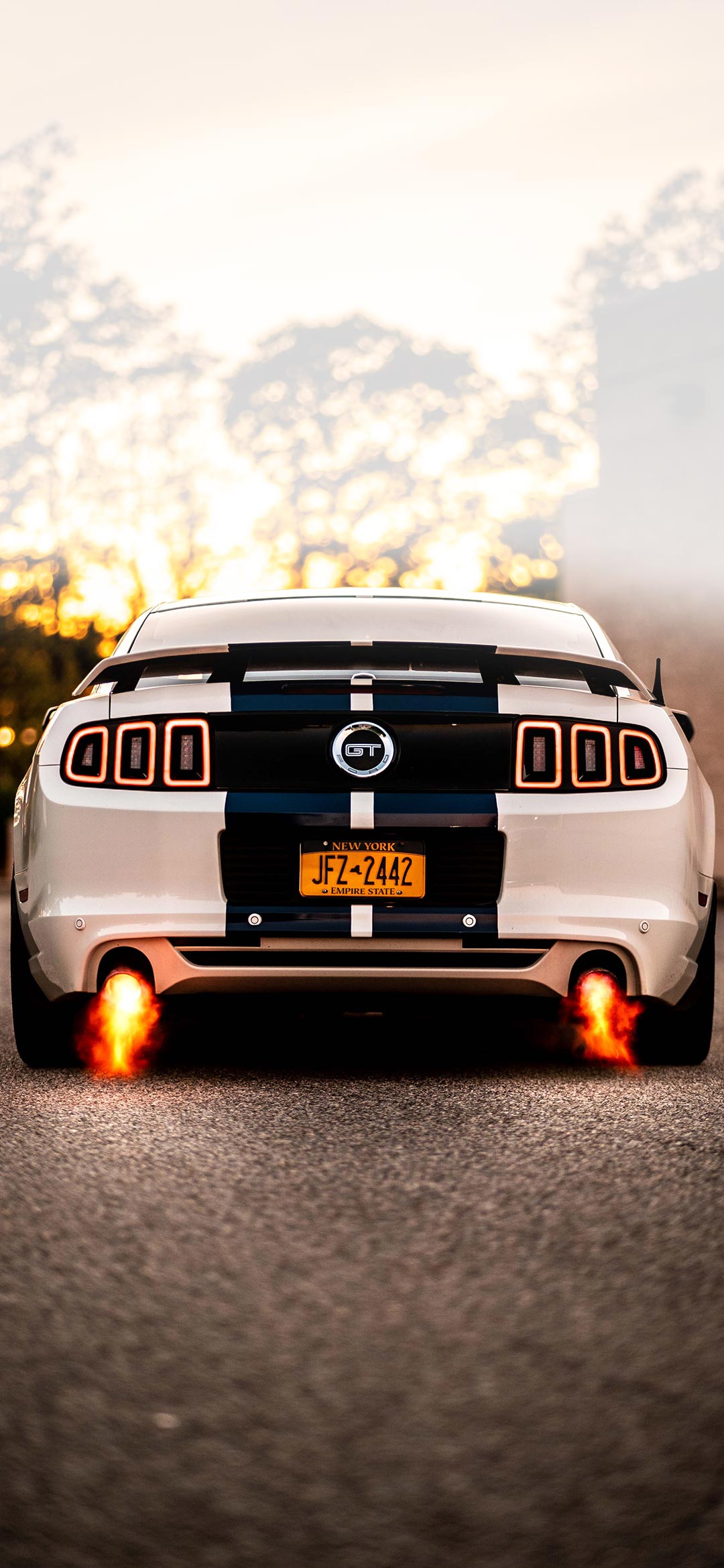 mustang-gt
