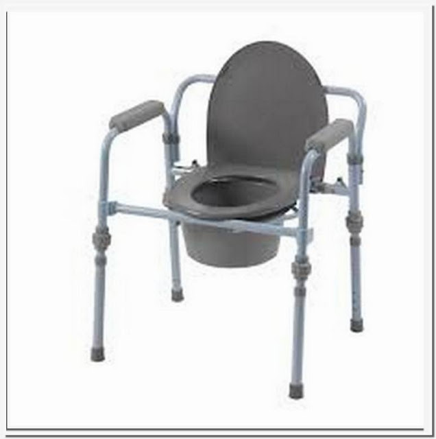 walmart potty chairs for adults