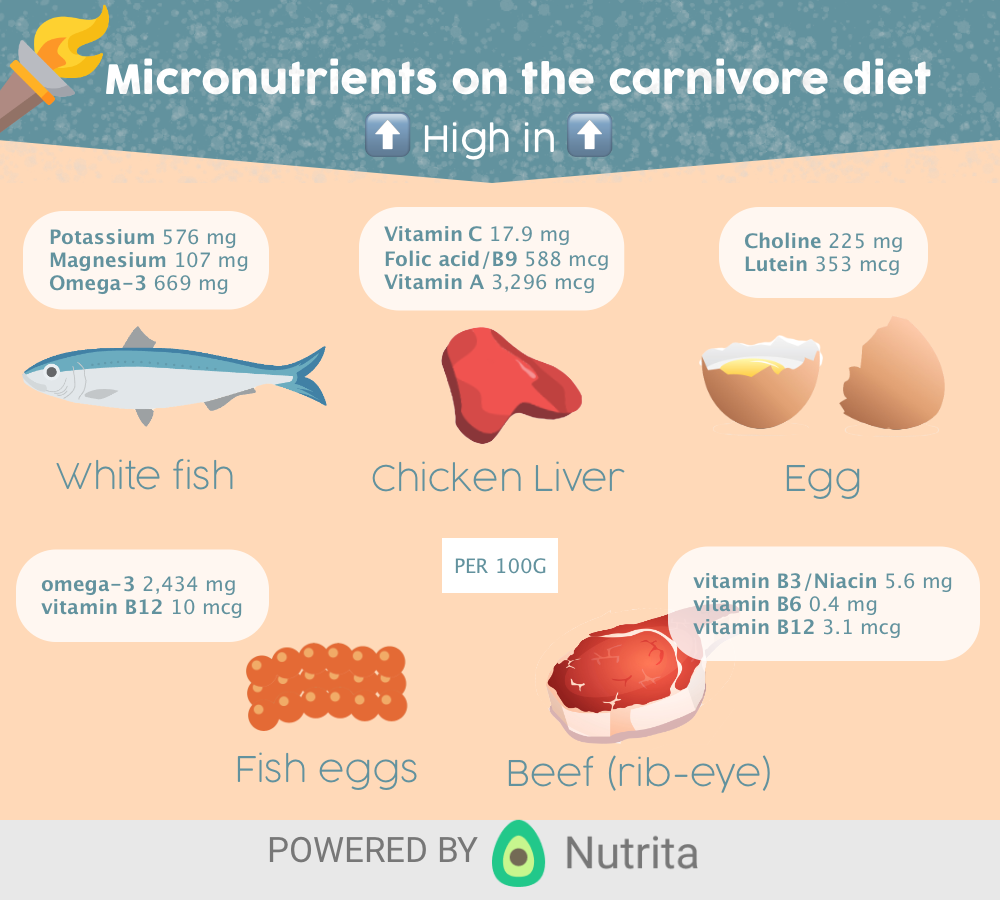 O melhor guia para a dieta carnívora Estilo de Vida Carnívoro