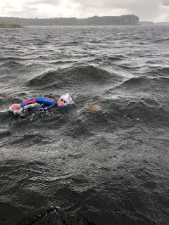 En de taper kan beginnen... - b0efbe1f fb04 43ee a620 1e5474ed407a%2B%2528Edited%2529 - geen-categorie - En de taper kan beginnen...