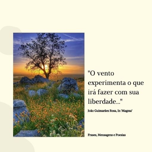 Frases,Mensagens e Poesias: Frase do Livro Magma - Guimarães Rosa