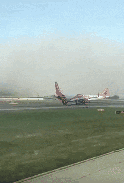 daily_gifdump_3311_14.gif