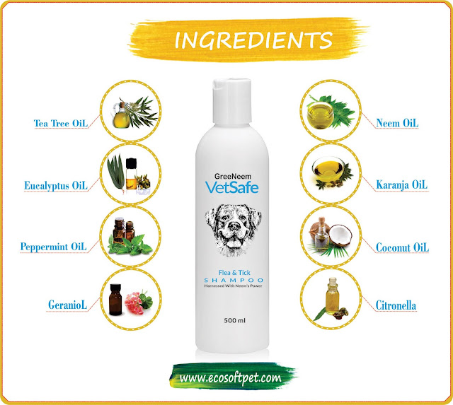 Essential Oil for VetSafe Dog Shampoo Ingredients Vetsafe shampoo