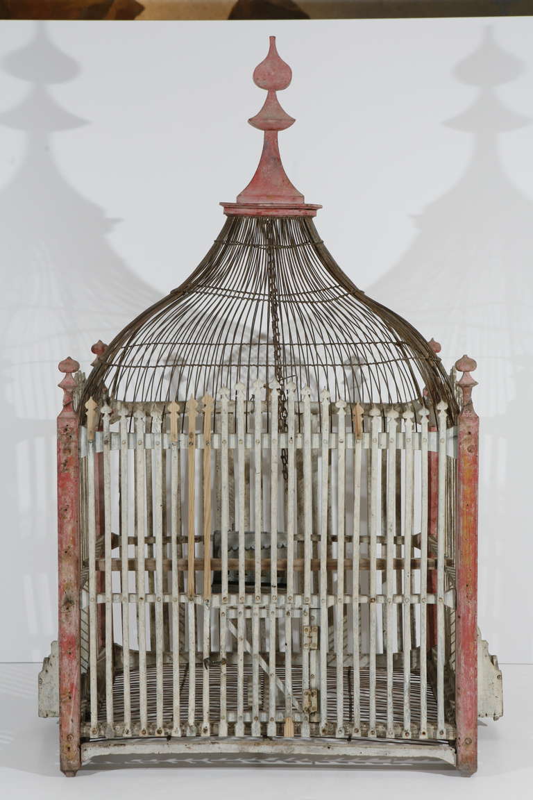 Bird In Everything Custom Made Bird Cages