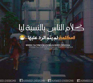 shof_520e248ad8a1dbd