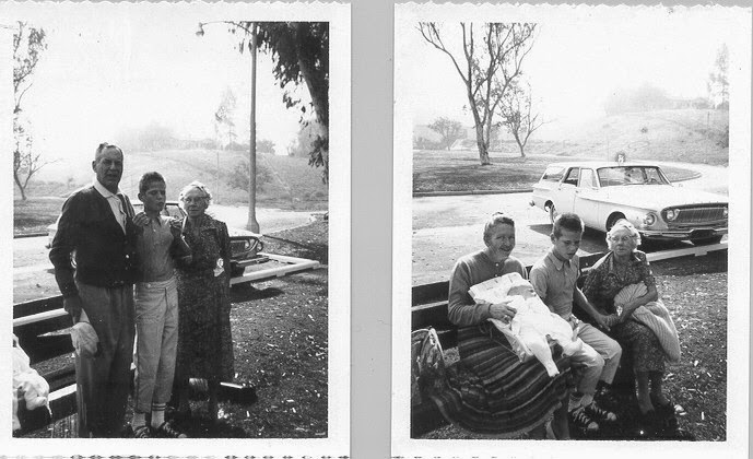 Family History Paige: July 2014