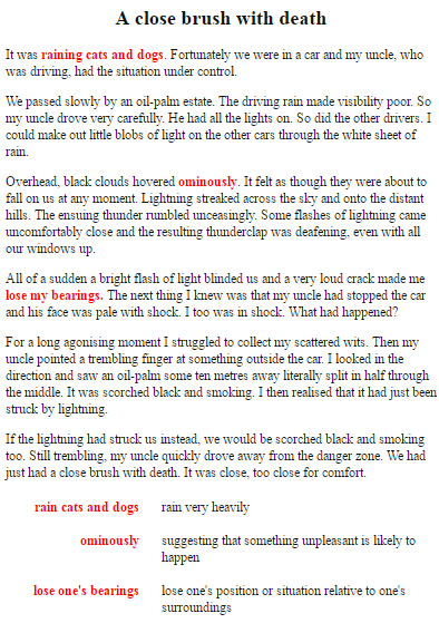 A brush with death essay