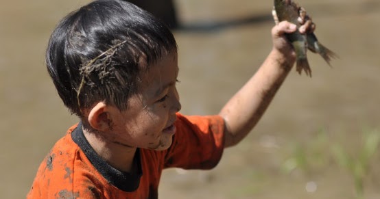 99 Arti Mimpi Menangkap Ikan Dengan Tangan Kosong Di Sungai Lengkap Tafsirnya Info Mimpi