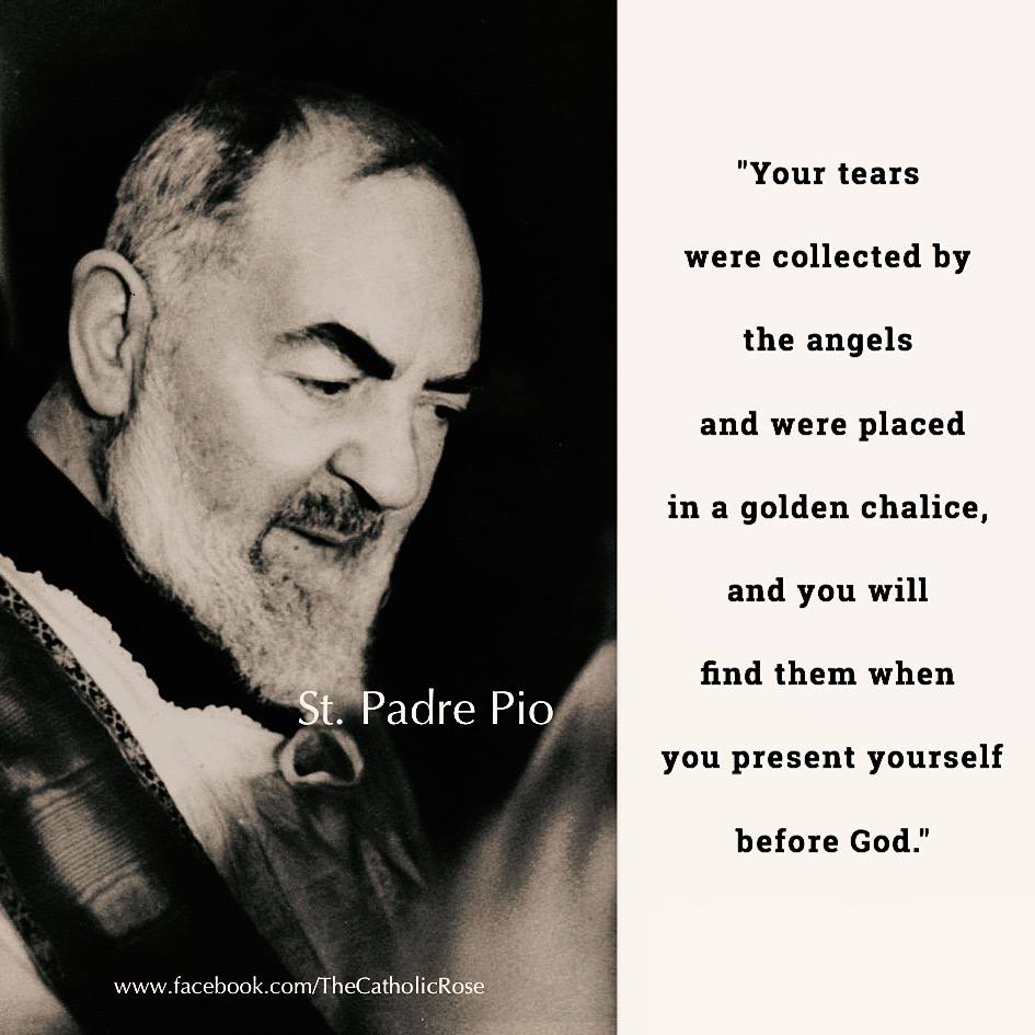 Saint Padre Pio NOS LARMES AU CIEL