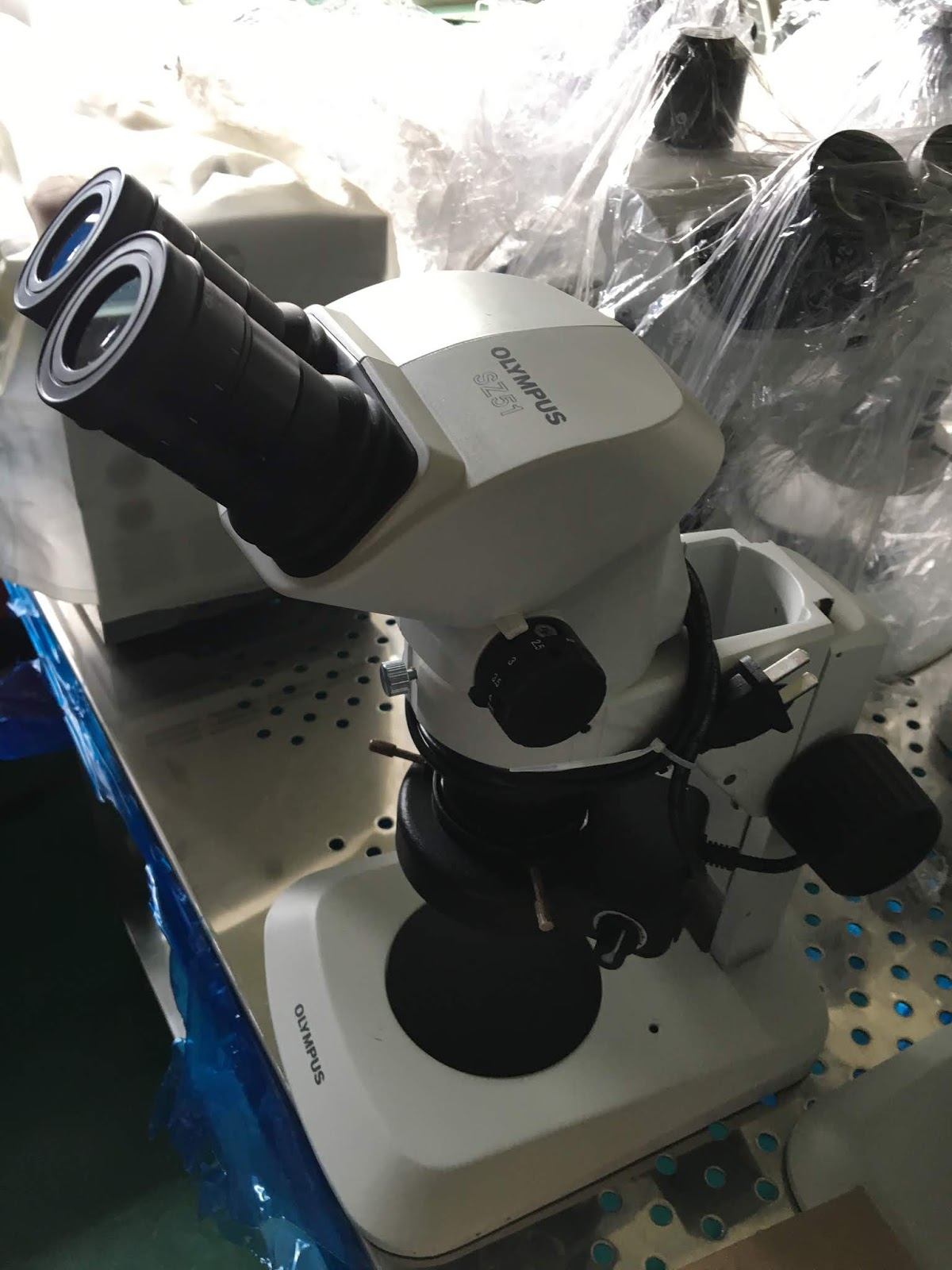 Stereo Microscopes