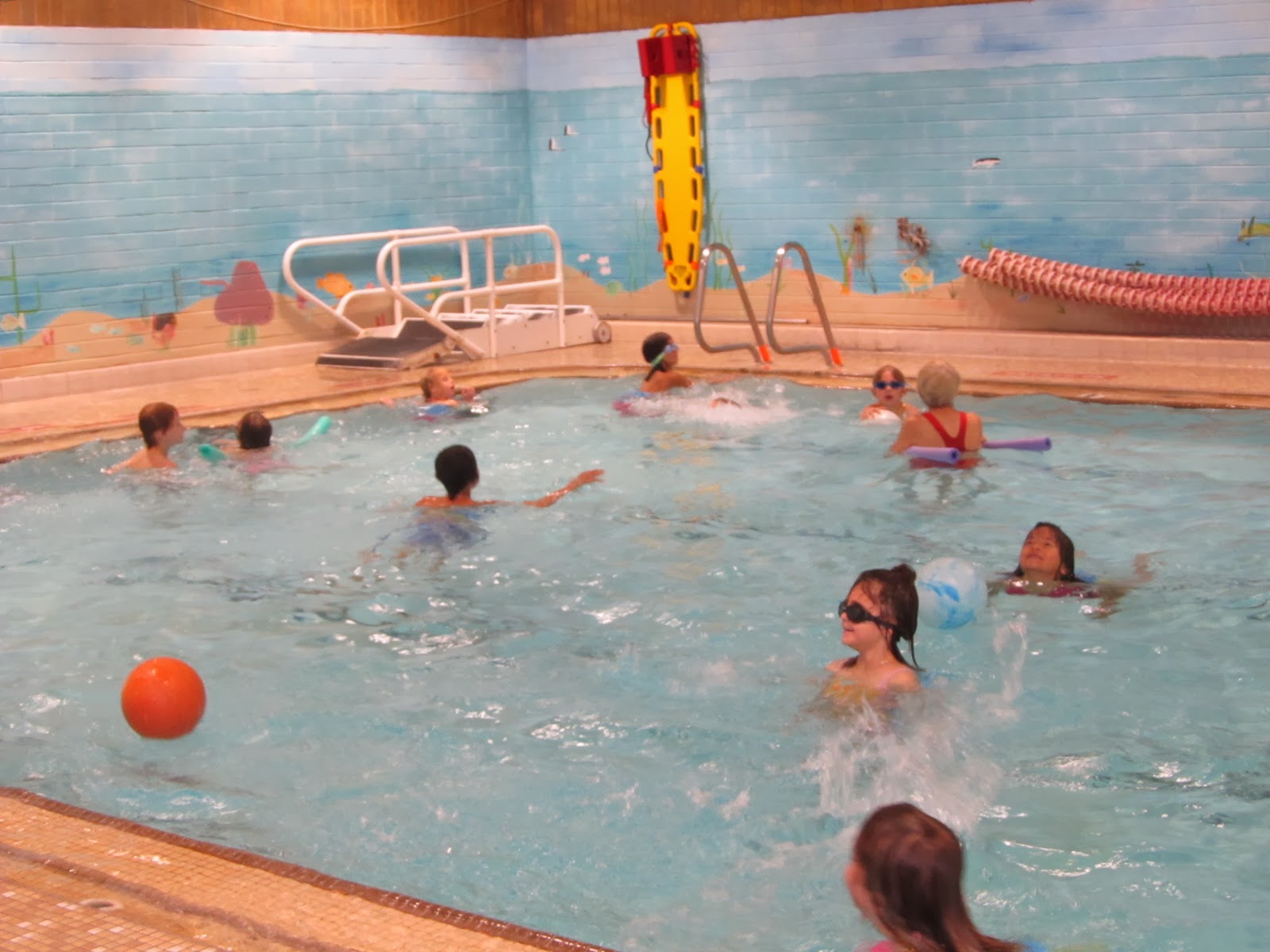 Bailey's Bunch Swimming Lessons the YMCA