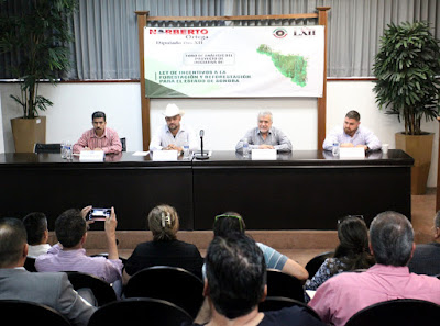 Diputado Norberto Ortega busca que la forestación y reforestación sean permanentes en Sonora 