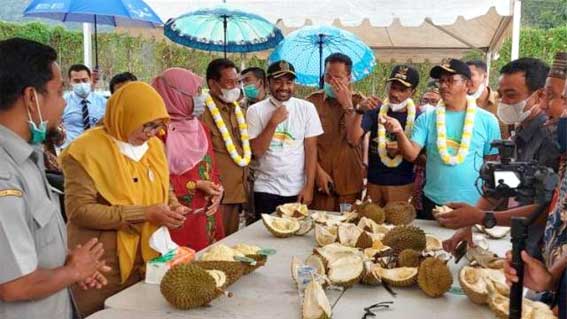 Pencanangan Festival Durian Solsel