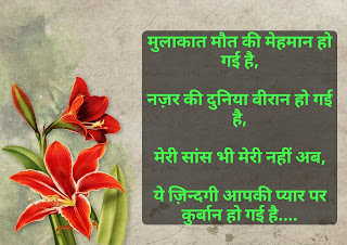 Romantic shayari for wife