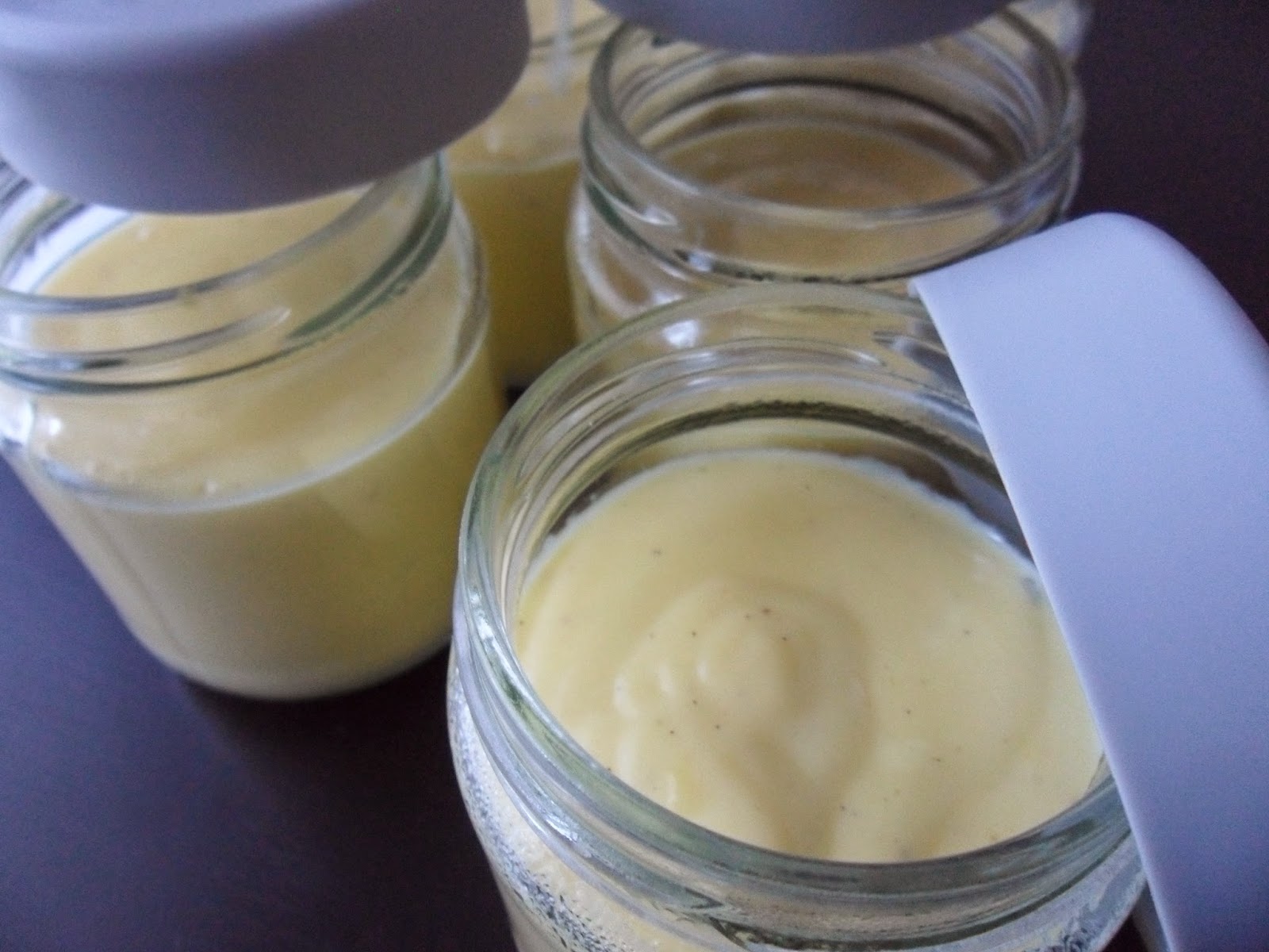 Crème dessert onctueuse à la vanille au Thermomix (5 crèmes)