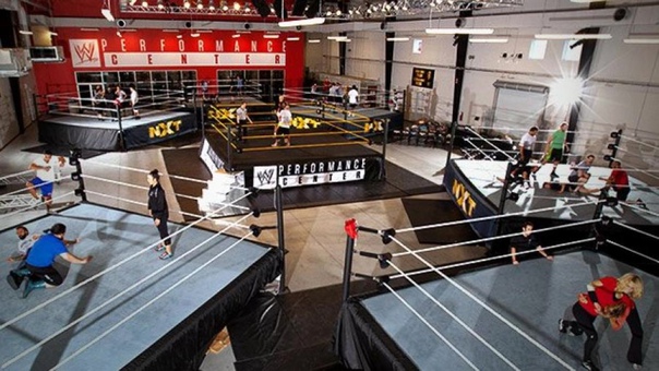 18 новых рекрутов приступили к тренировкам в WWE Perfomance Center