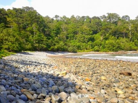 Ketahui 11 Hal Berikut Ini Sebelum Ke Green Bay, Banyuwangi-Jawa Timur