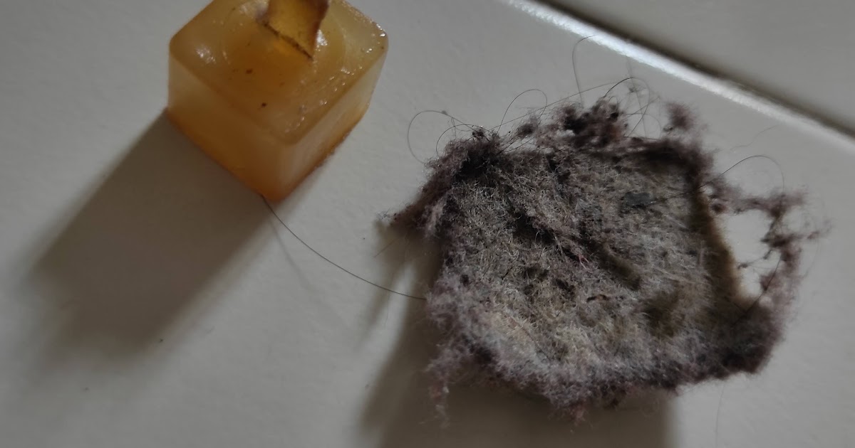 kartell ghost chair glides Gennie Needham