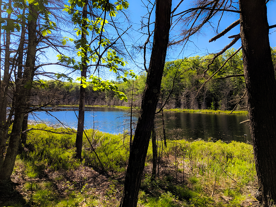 East Davis Lake on the North Country Trail in the Chequamegon National Forest