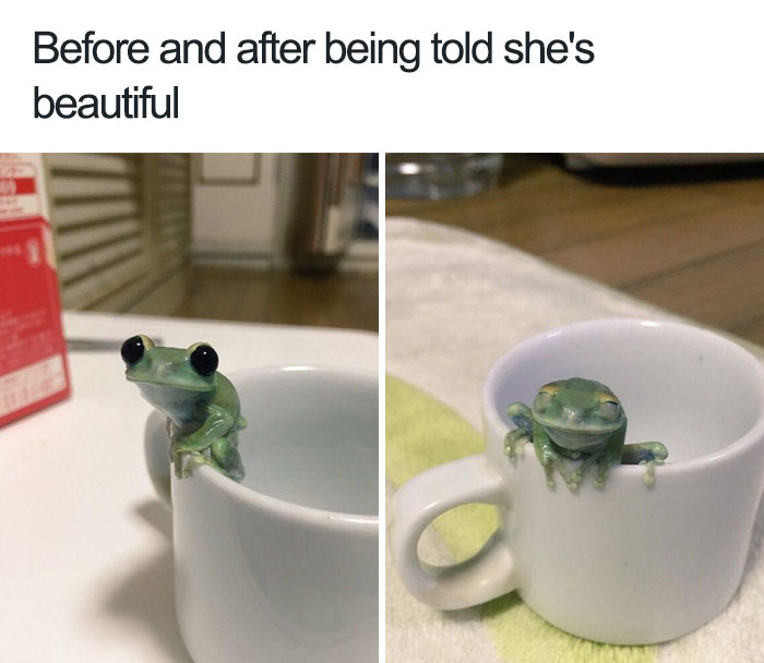 30 Happy Animals That Will Make Your Day 30 Happy Animals That Will Make Your Day