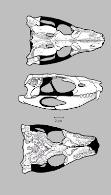 prehistoric reptiles