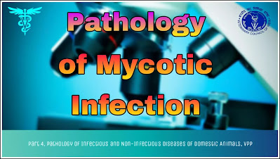 Pathology of Mycotic Infection