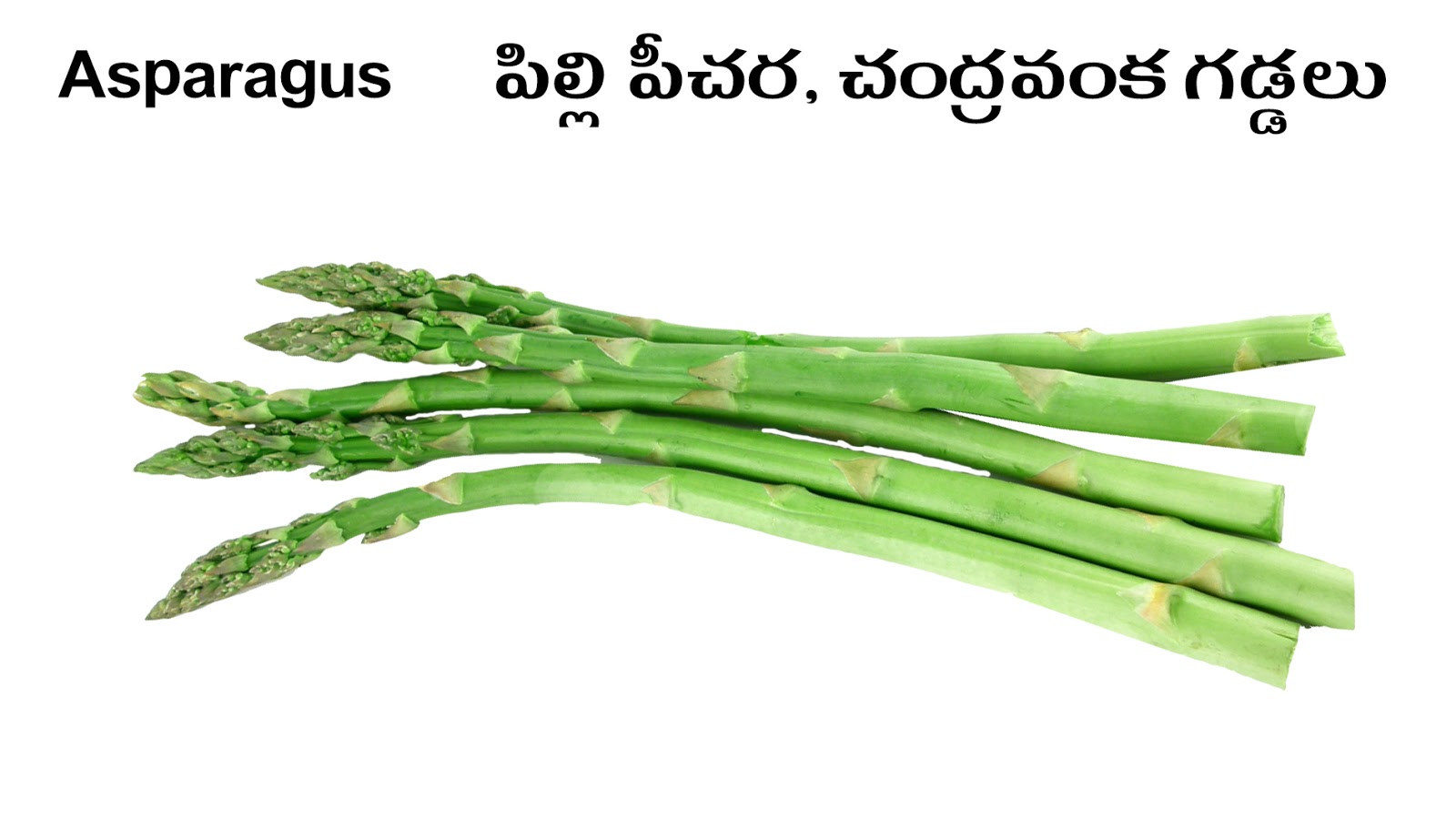 VEGETABLES Kooragaayalu PICTURE DICTIONARY ENGLISH AND TELUGU
