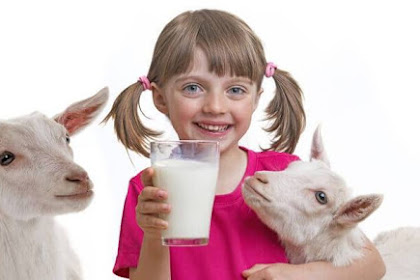 The Reason Goat Milk Is Better For Children