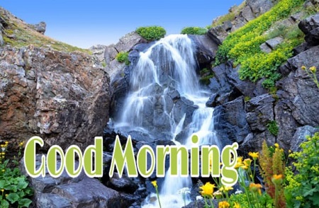 New Good Morning New Good Morning