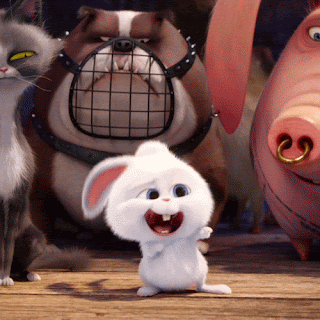 giphy%2B%25281%2529.gif