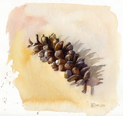 watercolor pine cone helen usual studies sold