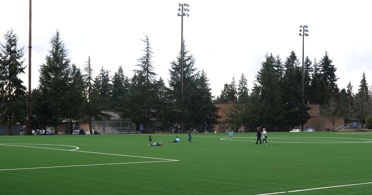 Shoreline Area News Shoreline Park soccer field restored and in use