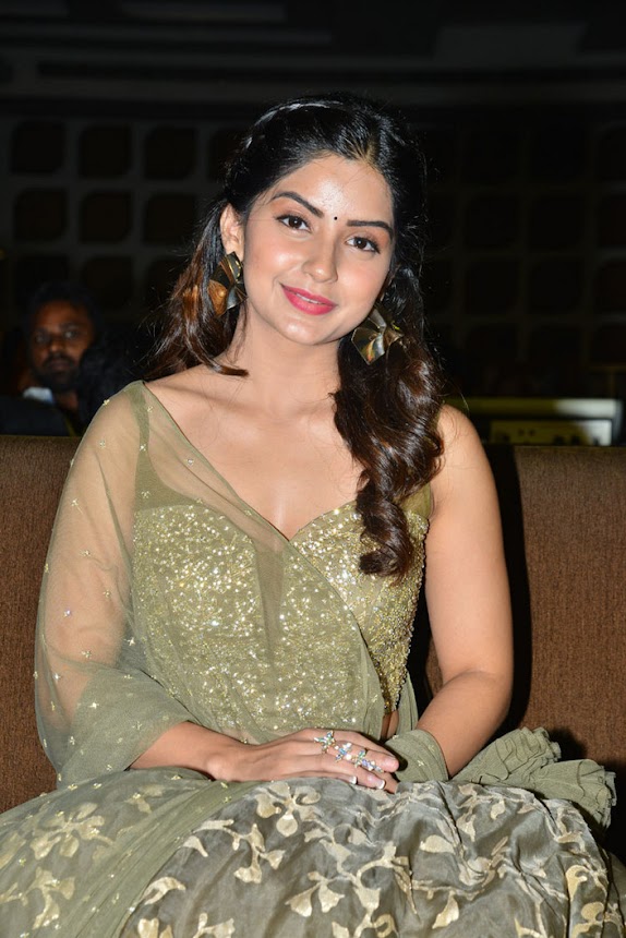 Kashmira Pardeshi at Narthanasala Pre-Release