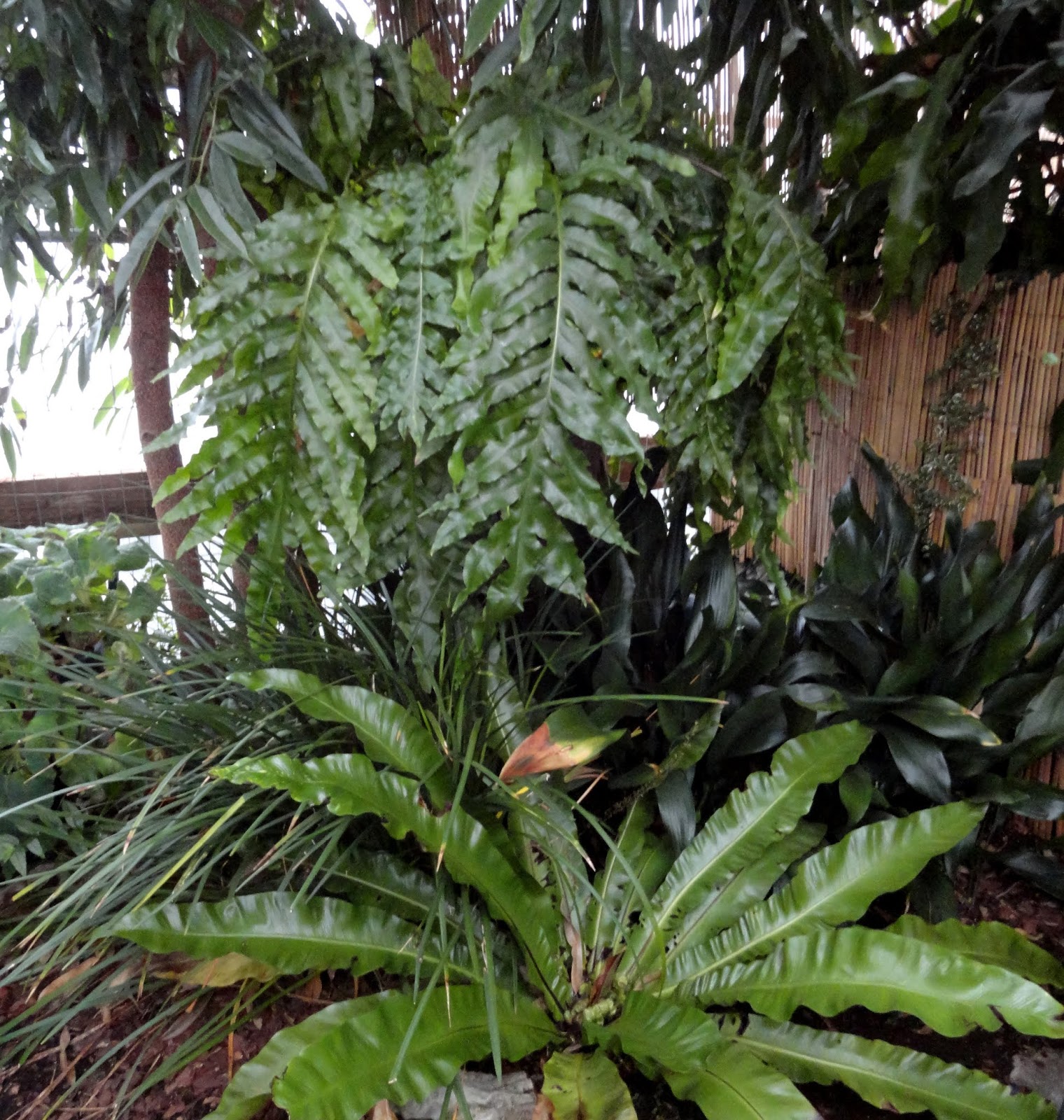 danger garden nursery visits on the way to Seattle...