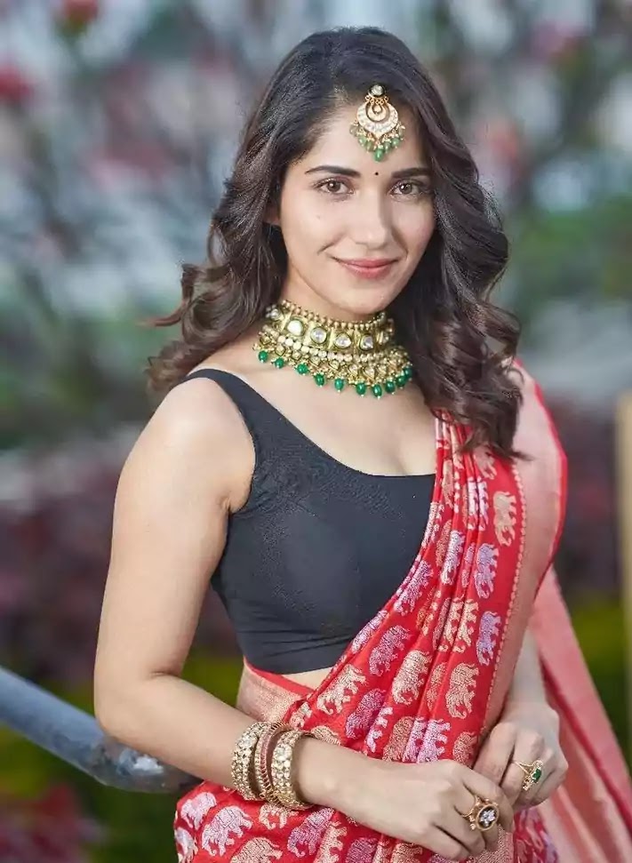 ruhani-sharma-in-red-banarasi-saree ruhani-sharma-in-red-banarasi-saree