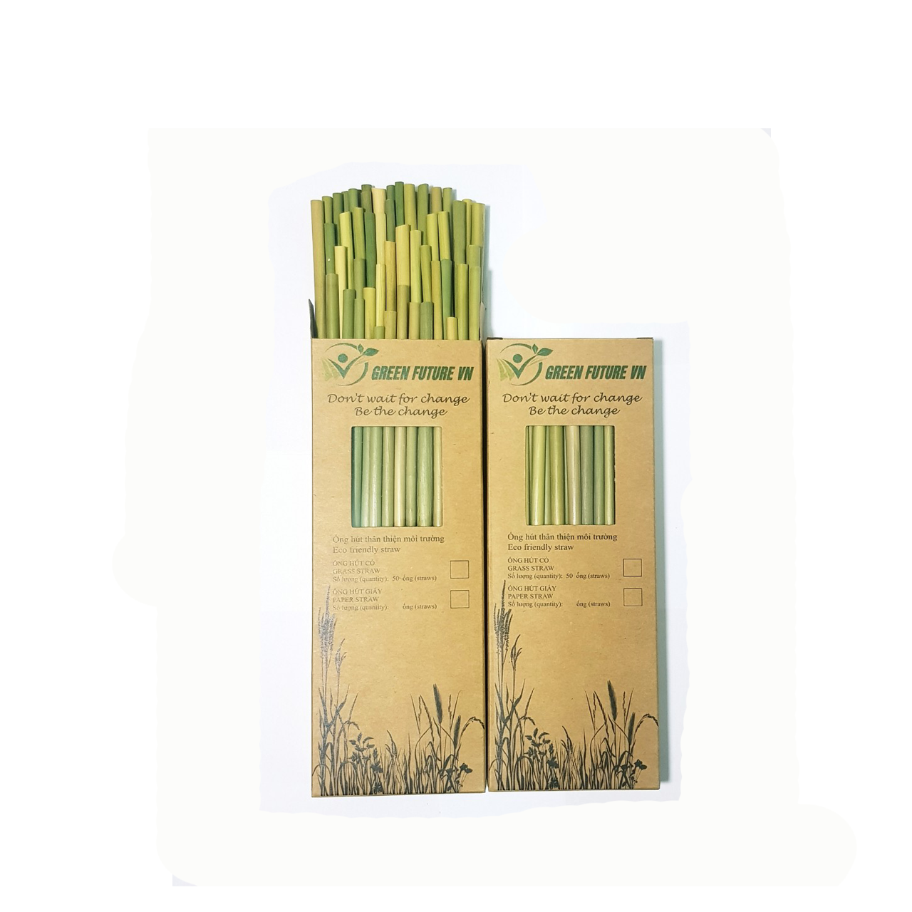BOX GRASS STRAW